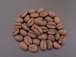 typica.jpg